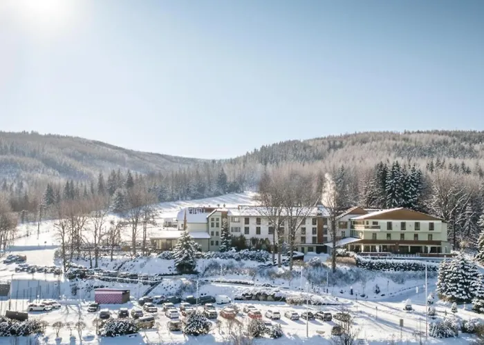 Hotel Malinowy Dwór Medical Świeradów-Zdrój