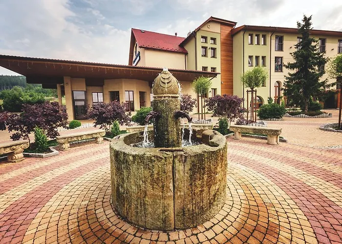 Malinowy Dwor Medical Hotel 4*